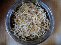 醋溜绿豆芽的做法步骤1